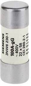 Zylindrische Siemens-Sicherung mit der Aufschrift '100A-gg', '400V', '22x58'. Geeignet für elektrische Schutzanwendungen.