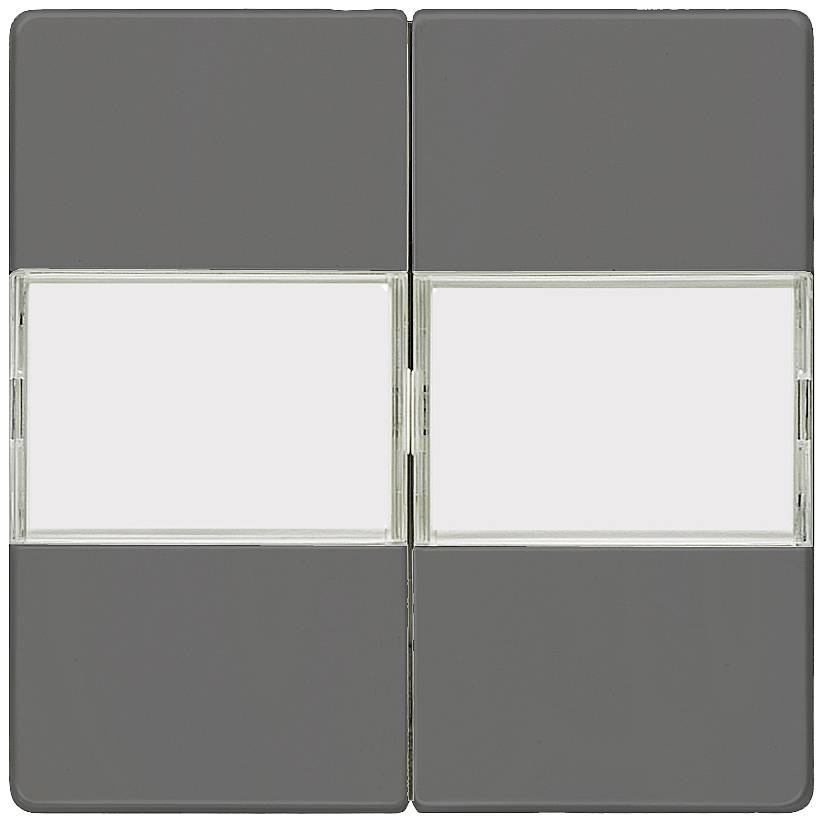 Ein quadratischer Lichtschalter mit zwei dunkelgrauen Wippen, die in der Mitte von einem weißen Streifen getrennt sind.