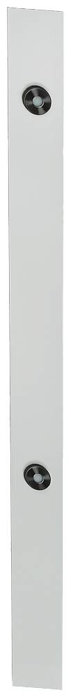 Metallisches rechteckiges Objekt mit zwei runden Befestigungsschrauben, vertikal angeordnet.