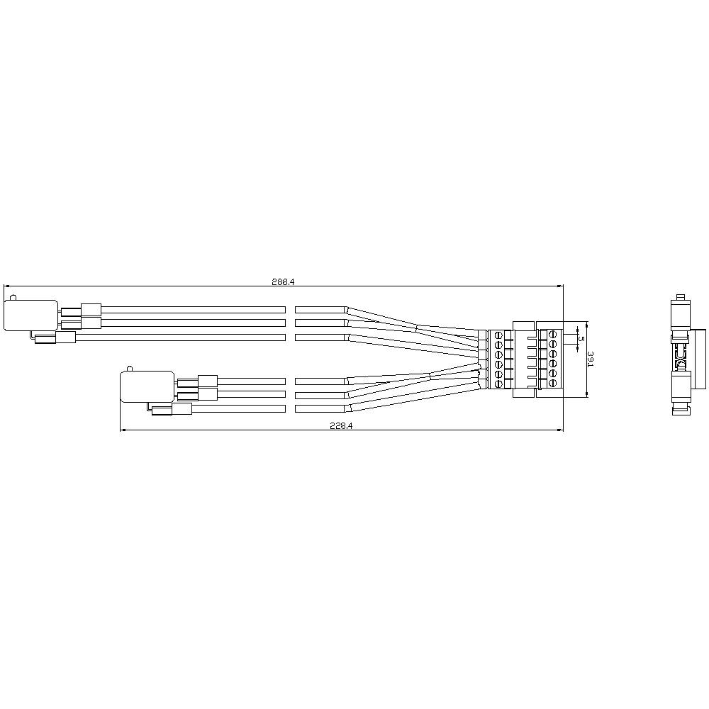 Technische Zeichnung eines elektrischen Kabelbaums mit Steckern, Längenangabe von 2894 mm und Detailansicht des Anschlussbereichs.