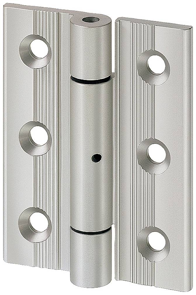 Metallbeschlag: Klappscharniere mit fünf Schraubenlöchern, geeignet für Türen.