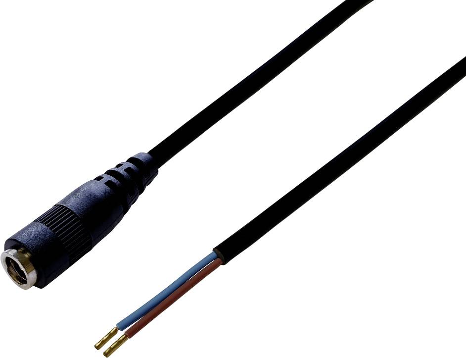 Schwarzes Audiokabel mit 3,5 mm Buchse auf einer Seite und offenen Enden mit rotem, blauem und braunem Draht auf der anderen Seite.