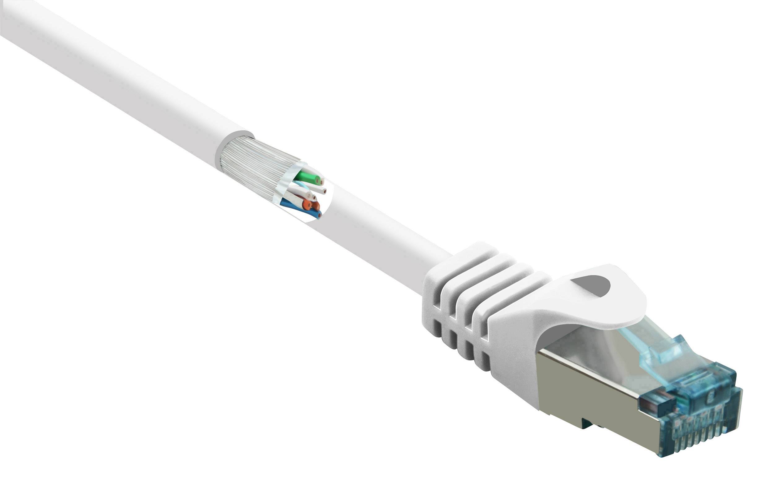 Ein weißes Ethernet-Kabel mit durchsichtigem Anschluss und sichtbaren Kupferdrähten, verwendet für die Netzwerkverbindung.
