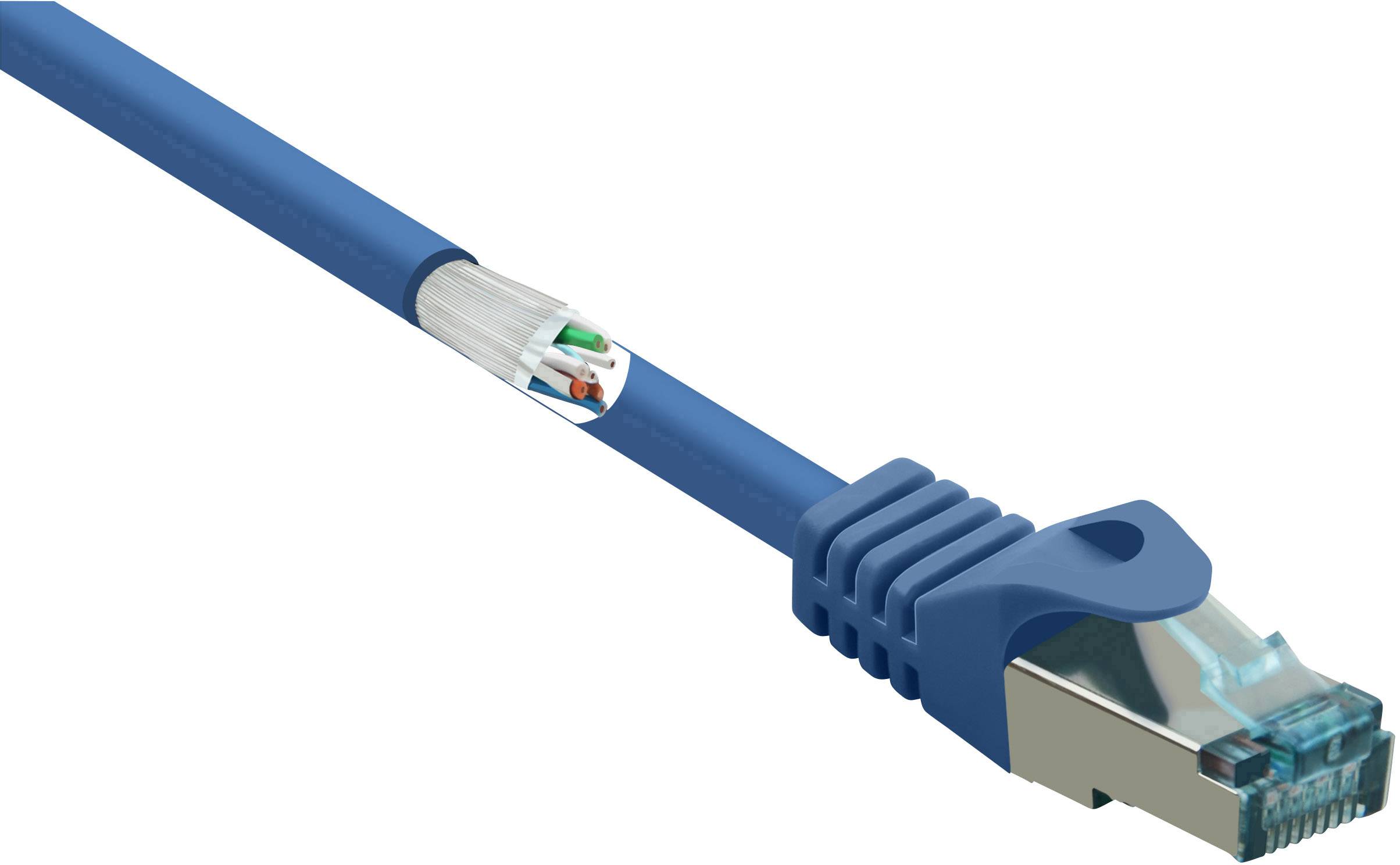 Ein blaues Ethernet-Kabel mit transparentem Stecker zeigt farbige Drähte im Inneren, geeignet für Netzwerkverbindungen.