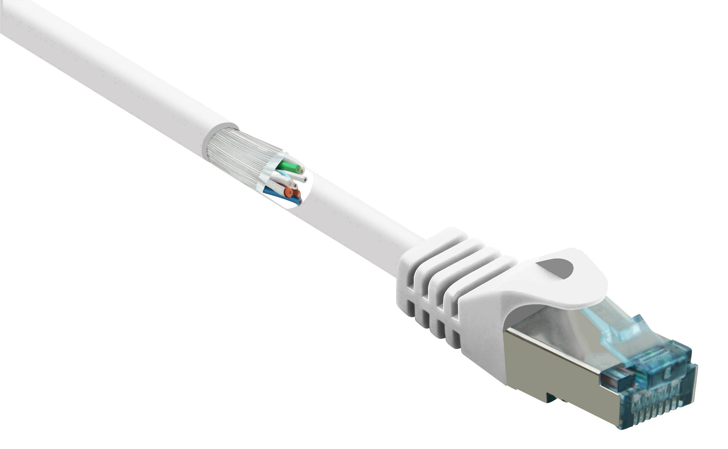 Ein weißes Ethernet-Kabel mit sichtbaren farbigen Drähten im Steckerbereich.