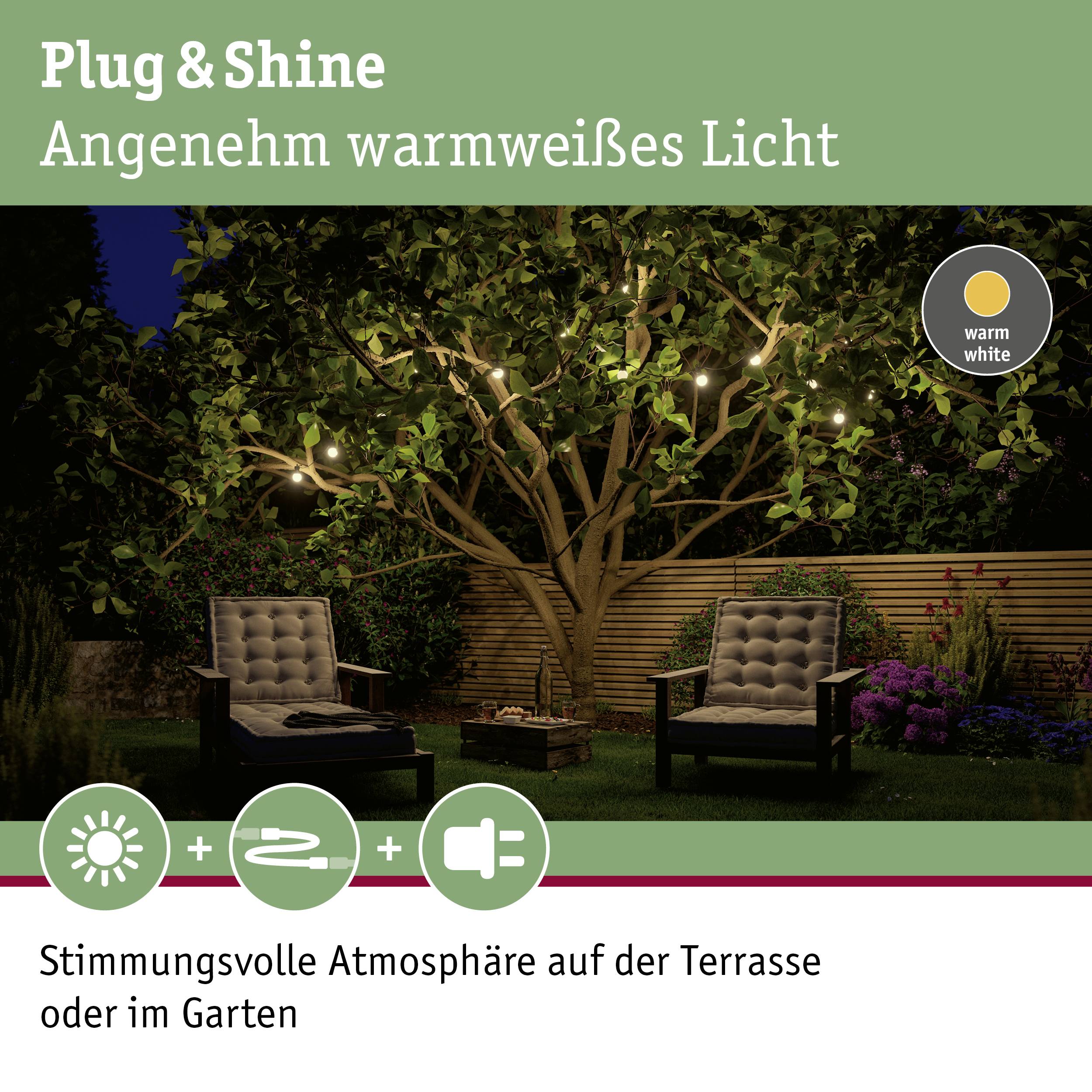 Paulmann 94165 Beleuchtungssystem Plug & Shine LED-Lichterkette LED 1.4W Warmweiß Weiß, Schwarz