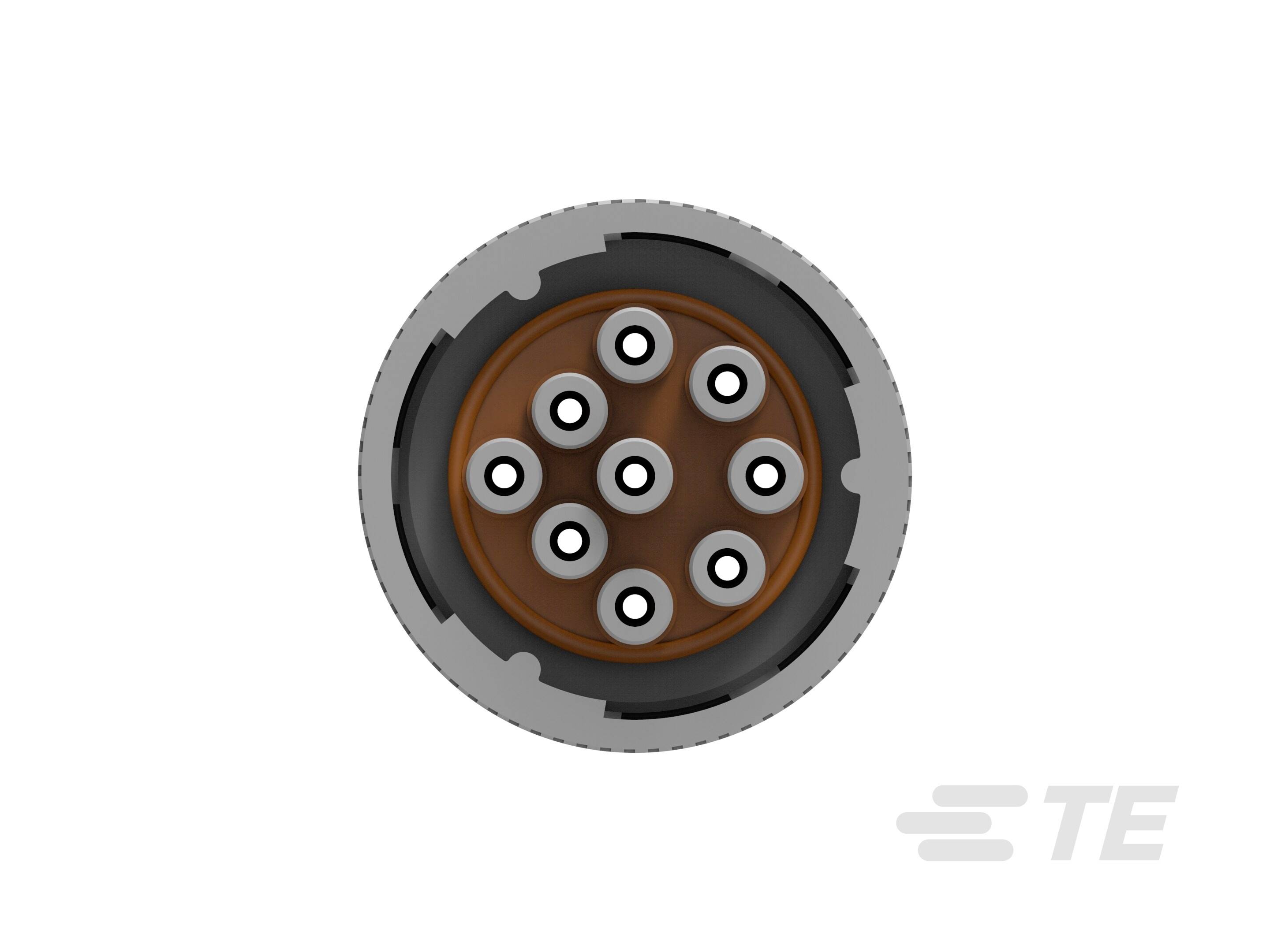 TE Connectivity HD16-9-96S Rundsteckverbinder Buchse Gesamtpolzahl: 47 1St.