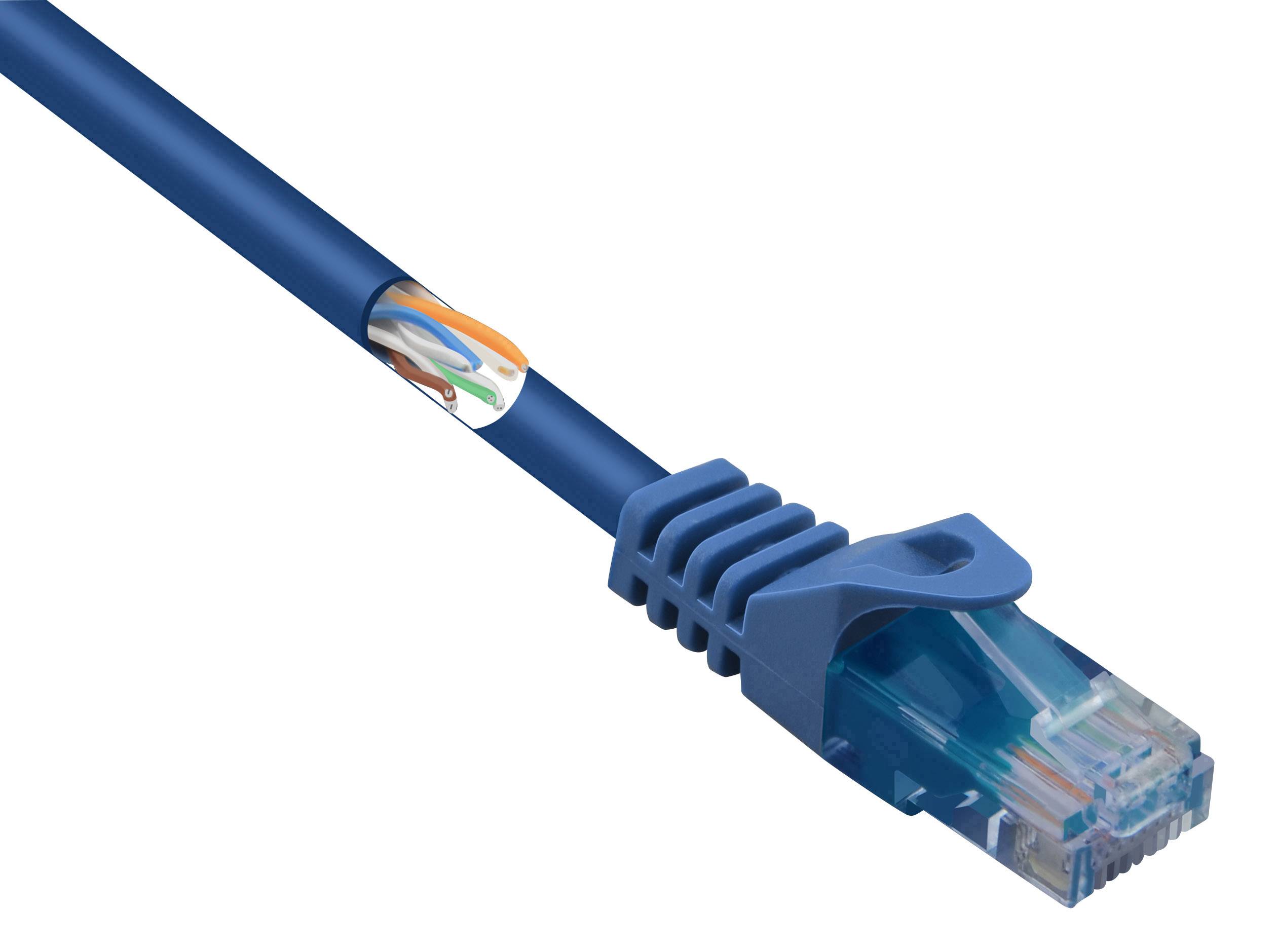 Blaues Ethernet-Kabel mit RJ45-Stecker zeigt den Einsatz von Netzwerkkabeln zur Datenübertragung in Computernetzwerken.