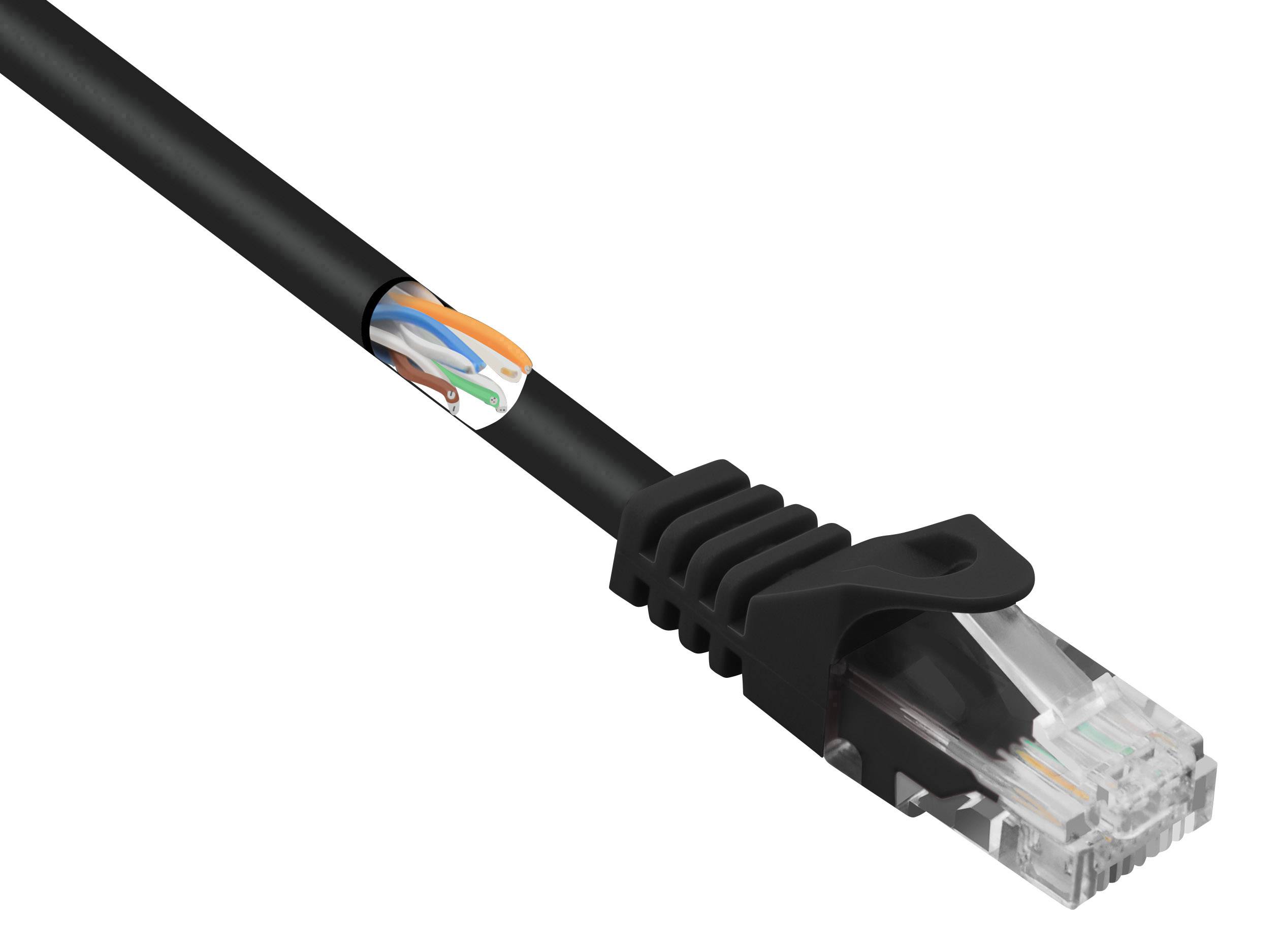 Netzwerkkabel mit RJ45-Stecker, zeigt farbige Adern im Inneren. Wird häufig zum Verbinden von Computern mit einem Netzwerk verwendet.