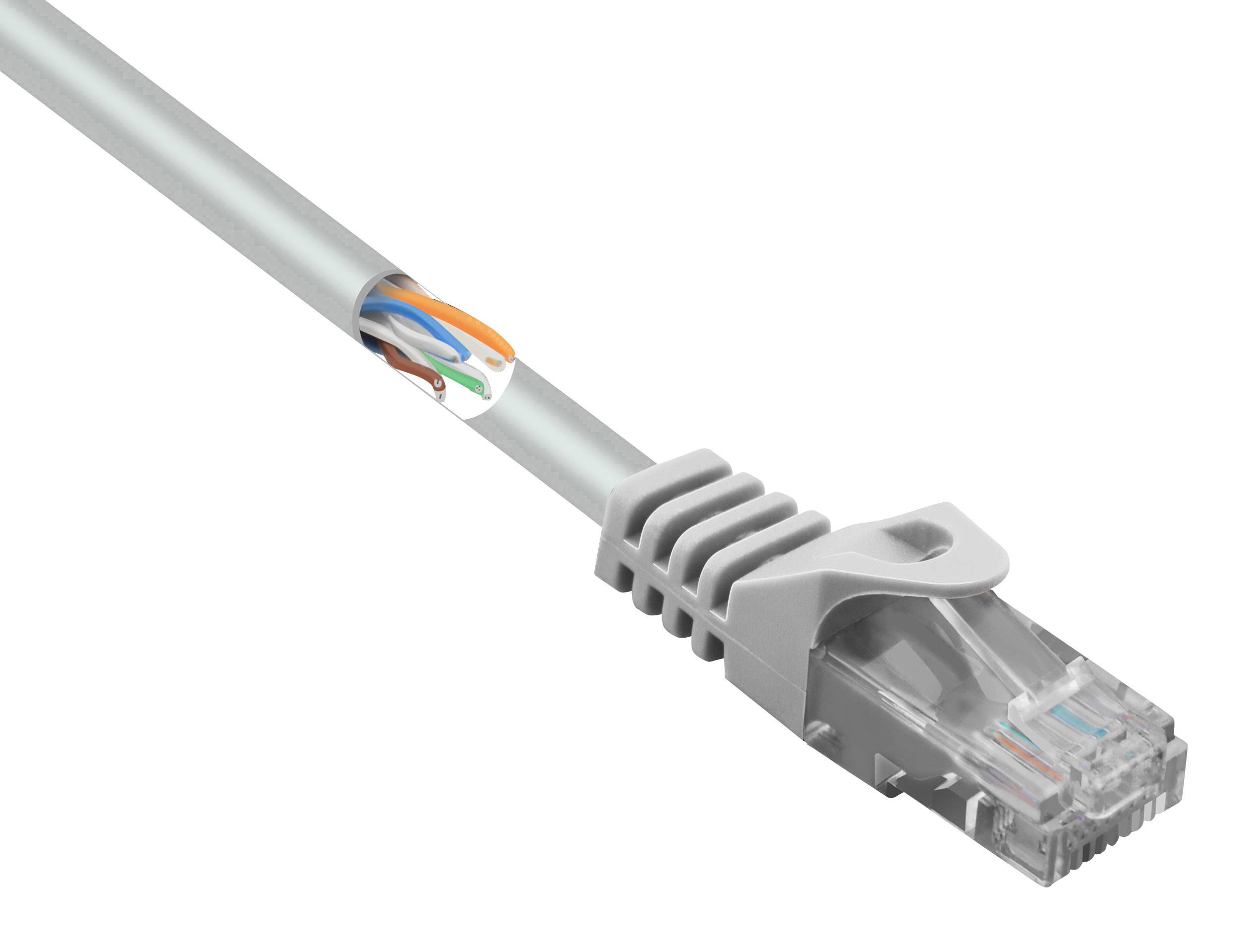 Ein graues Ethernet-Kabel mit einem durchsichtigen RJ45-Stecker, teilweise abisoliert, zeigt farbige Drähte im Inneren.