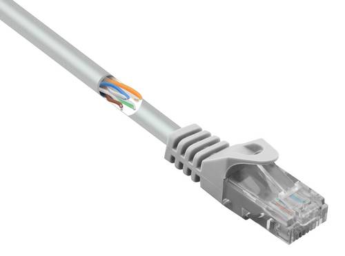 Renkforce RF-5043978 RJ45 Patchkabel CAT 5e U/UTP 0.15 m Grau mit Rastnasenschutz