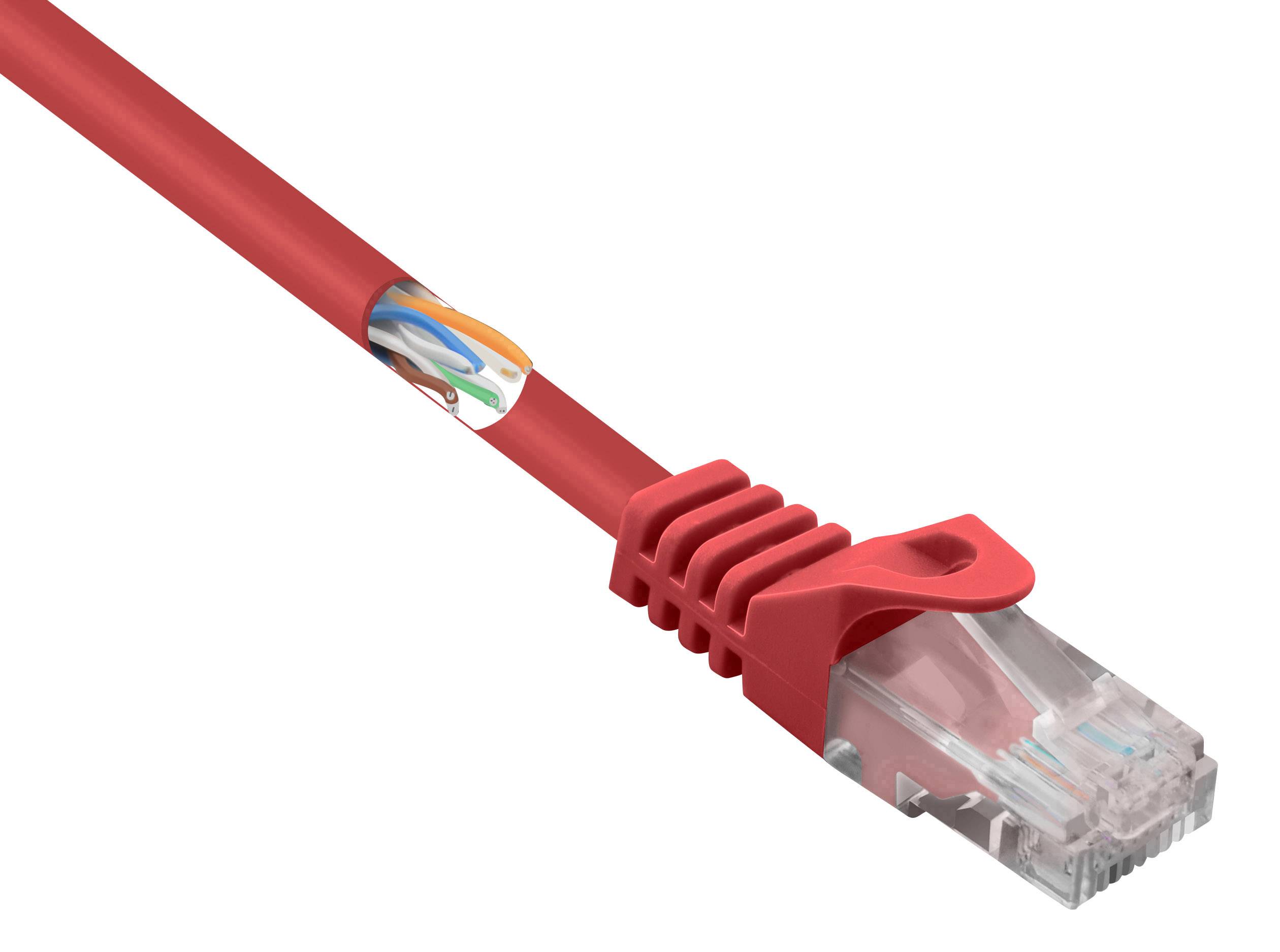 Rotes Ethernet-Kabel mit transparentem Stecker, seitlich ein Aufkleber mit grafischem Muster. Verbindet Geräte im Netzwerk.