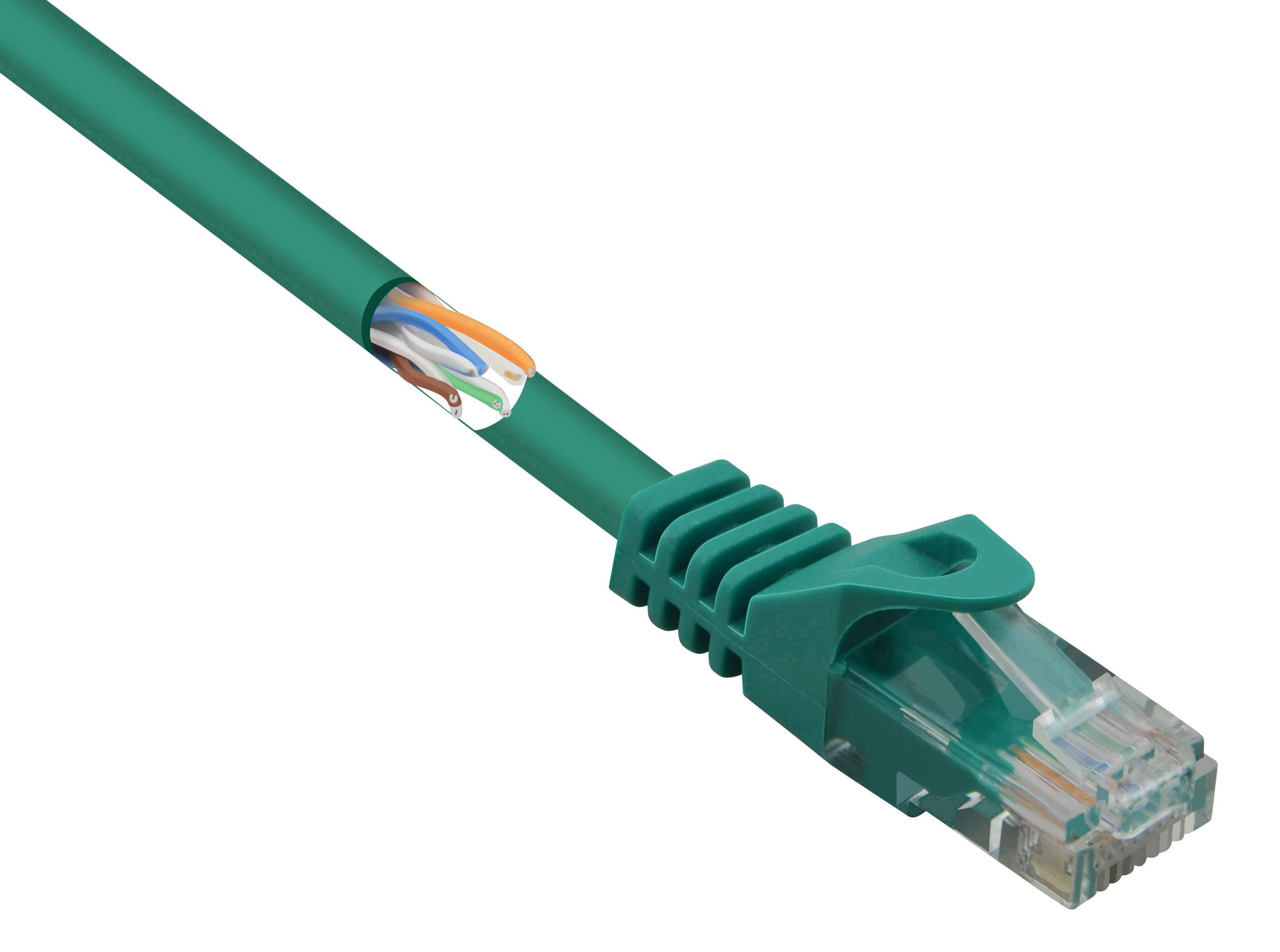 Basetech BT-2348158 RJ45 Netzwerkkabel, Patchkabel CAT 5e U/UTP 0.50 m Grün mit Rastnasenschutz 1 S