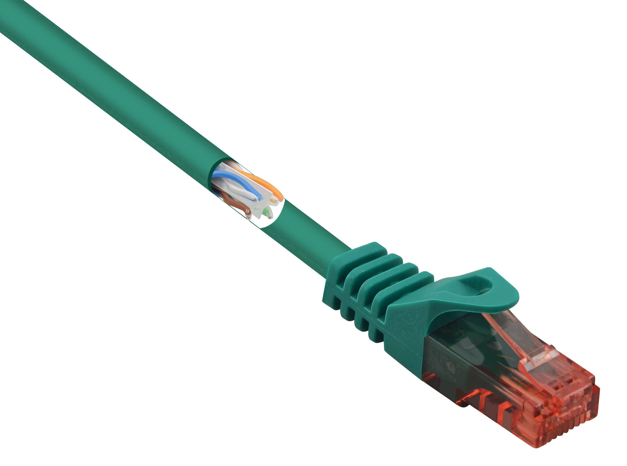 Ein grünes Ethernet-Kabel mit durchsichtigem, roten Stecker; zeigt einen Teil der innenliegenden Drähte.