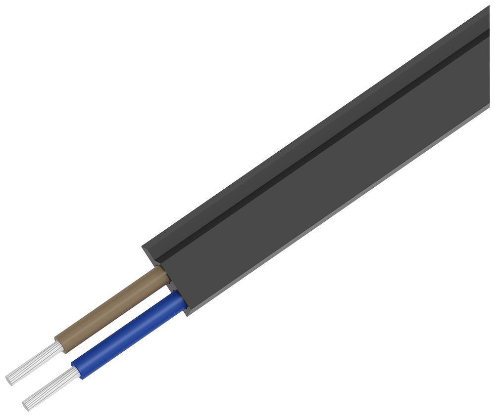 Ein schwarzes Flachkabel mit zwei sichtbaren, unterschiedlich farbigen Drähten: einem braunen und einem blauen.