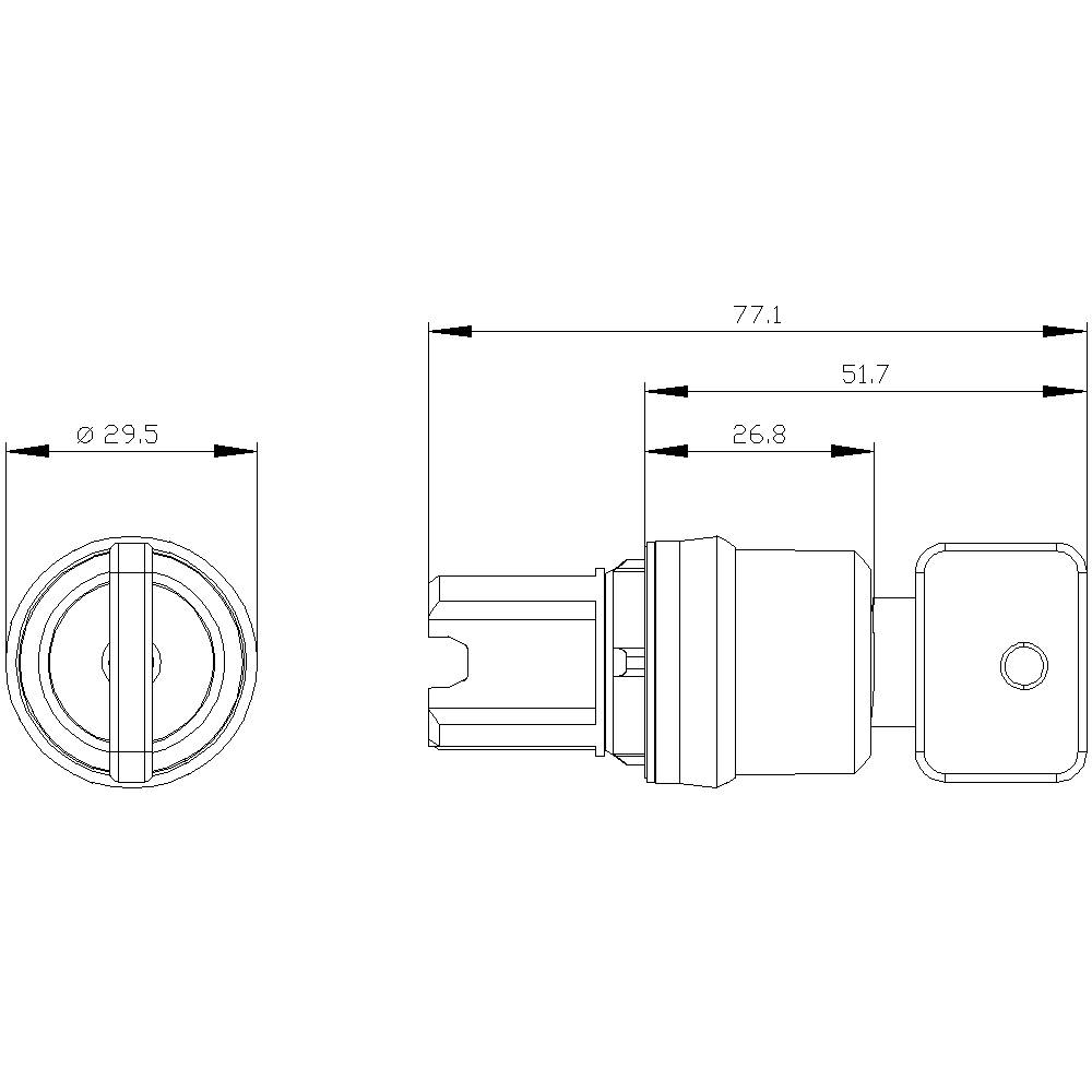 Technische Zeichnung eines zylindrischen Bauteils mit Front- und Seitenansicht, Abmessungen Ø 29,5 mm und Länge 77,1 mm angegeben.