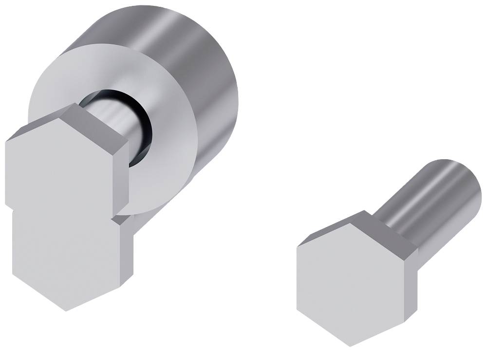 Zwei metallische Bolzen, einer mit runder und einer mit sechseckiger Basis, liegen nebeneinander; beide haben eine silberne Oberfläche.