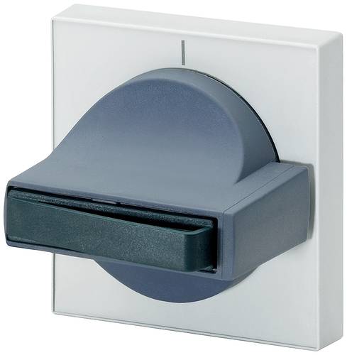 Siemens 8UC7110-1BB 8UC71101BB Handhabe Grau, Hellgrau 1 St.
