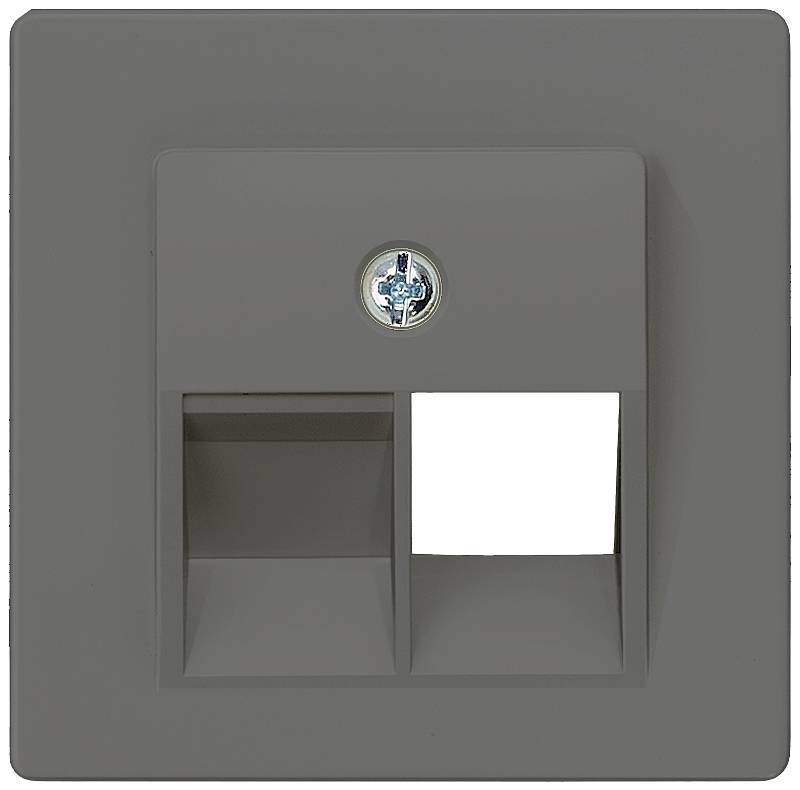 Zweifacher Netzwerkanschluss in grauem Rahmen, einer leer, einer mit Abdeckung. Oben mittig befindet sich eine Schraube.