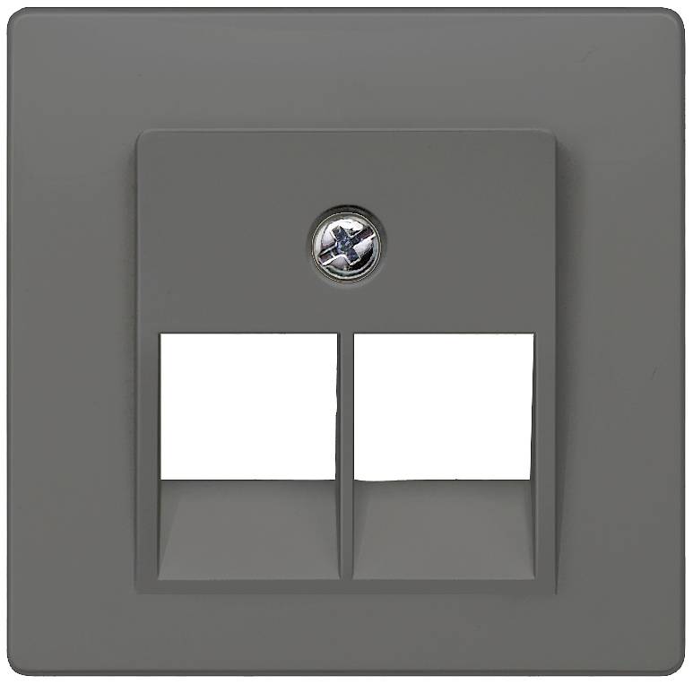 Eine graue, leere Netzwerkwandplatte mit zwei Ports und einer zentralen Schraube zur Befestigung.