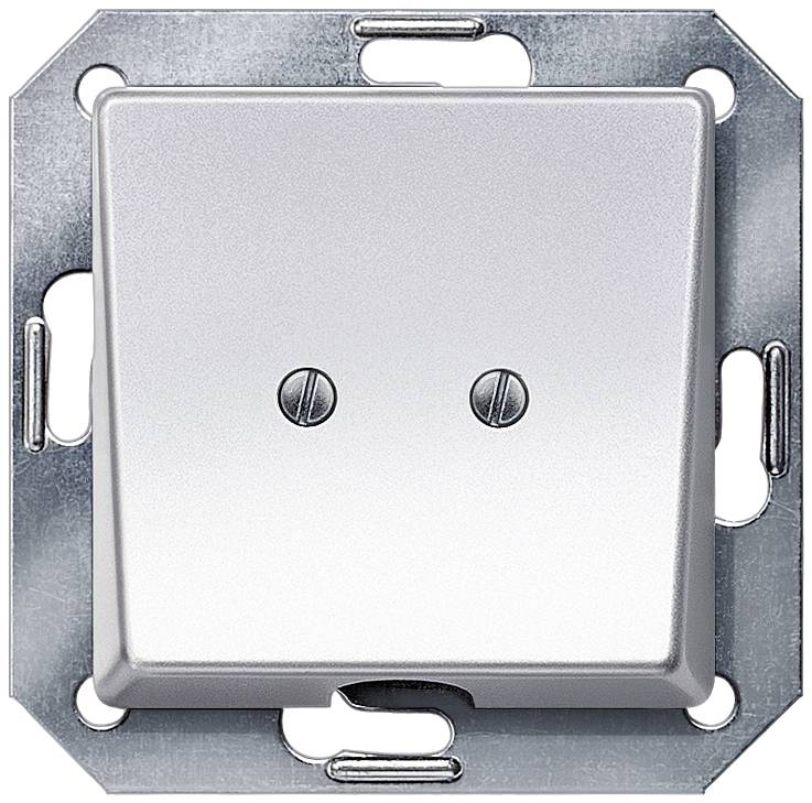 Ein metallener Wandschalterrahmen mit einer glatten, silberfarbenen Abdeckung, befestigt durch zwei sichtbare Schrauben.