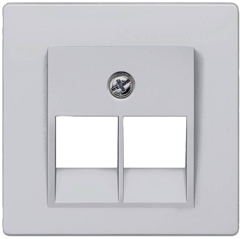 Zweifache Netzwerkdose mit rechteckiger Form und mittig angebrachtem Schraubenkopf, passend für Ethernet- oder Telefonverbindungen.