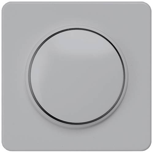Siemens Schalterprogramm Silber 5TC8906 1 St.