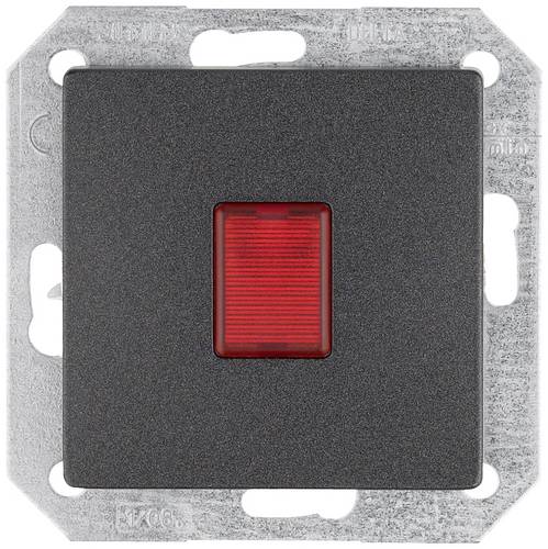 Siemens Schalterprogramm Carbon 5TD2865 1 St.