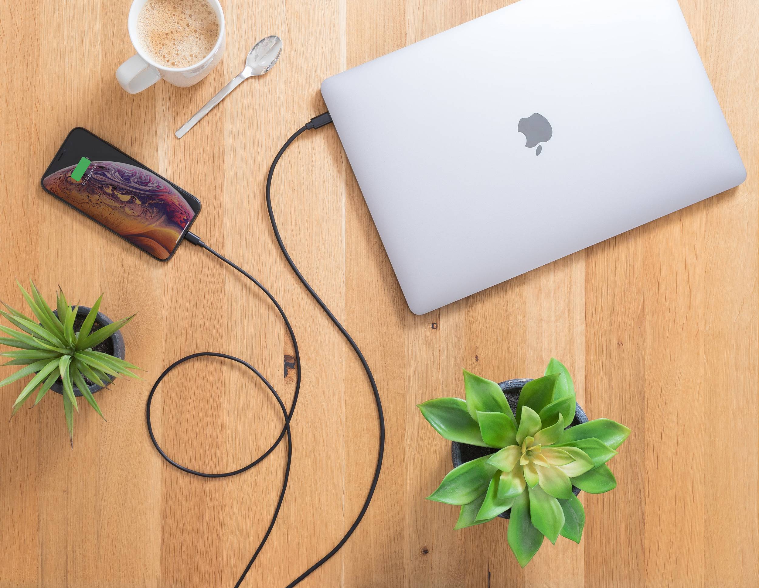 Ein Laptop und ein Smartphone werden über ein Ladekabel verbunden. Auf einem Holztisch stehen zwei kleine Pflanzen und eine Kaffeetasse.