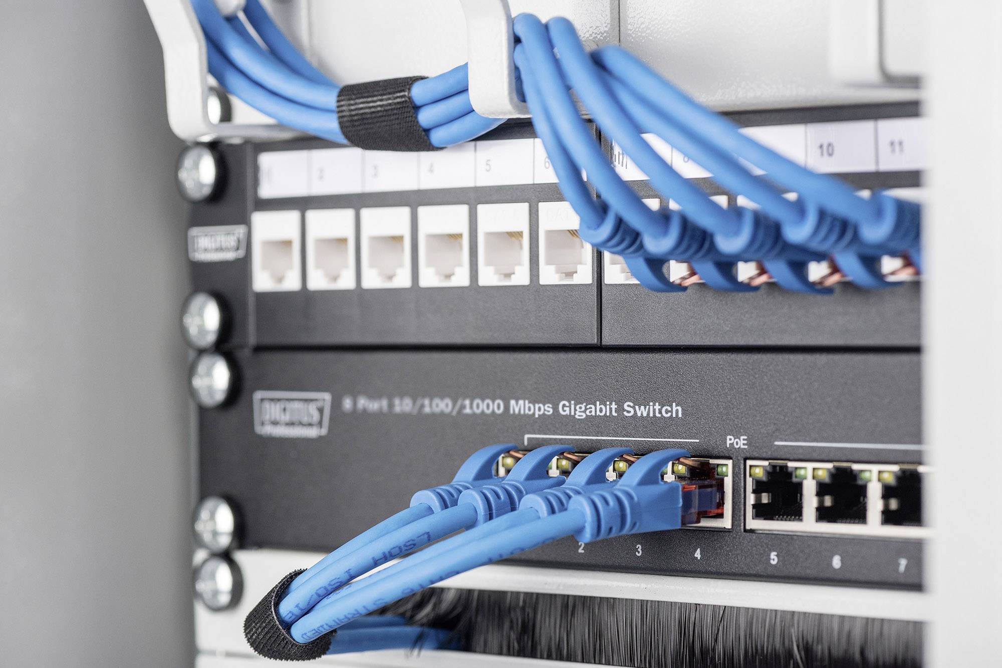Ein Netzwerk-Switch mit mehreren blauen Ethernet-Kabeln, die angeschlossen sind. Aufschrift: '8 Port 10/100/1000 Mbps Gigabit Switch'.