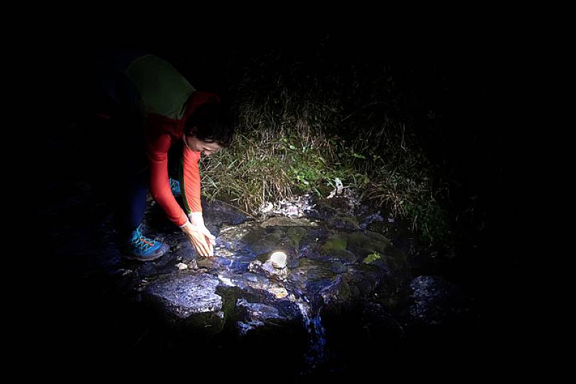 Brennenstuhl 1171540 Oli 0300 A LED Camping-Leuchte 350 lm akkubetrieben Silber, Schwarz, Gelb