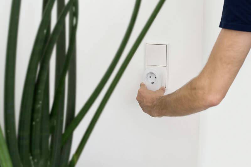 Eine Hand steckt einen Stecker in eine weiße Steckdose an einer Wand. Im Vordergrund sind unscharfe, grüne Pflanzenstiele zu sehen.