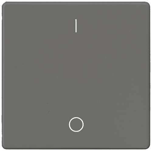 Siemens Schalterprogramm 1fach Carbon 5TG6222 1 St.