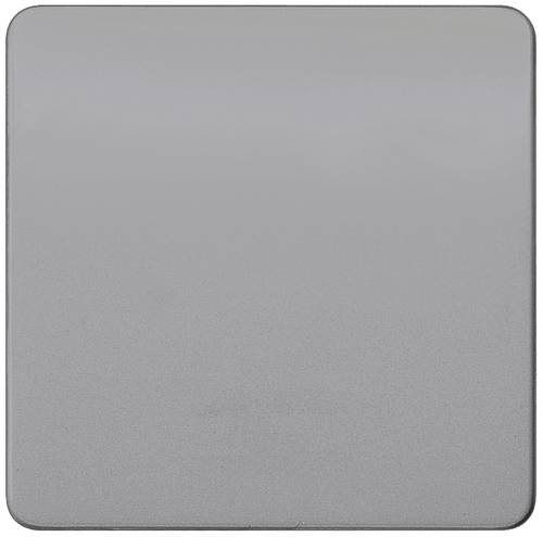 Siemens Schalterprogramm 1fach Silber 5TG7921 1 St.