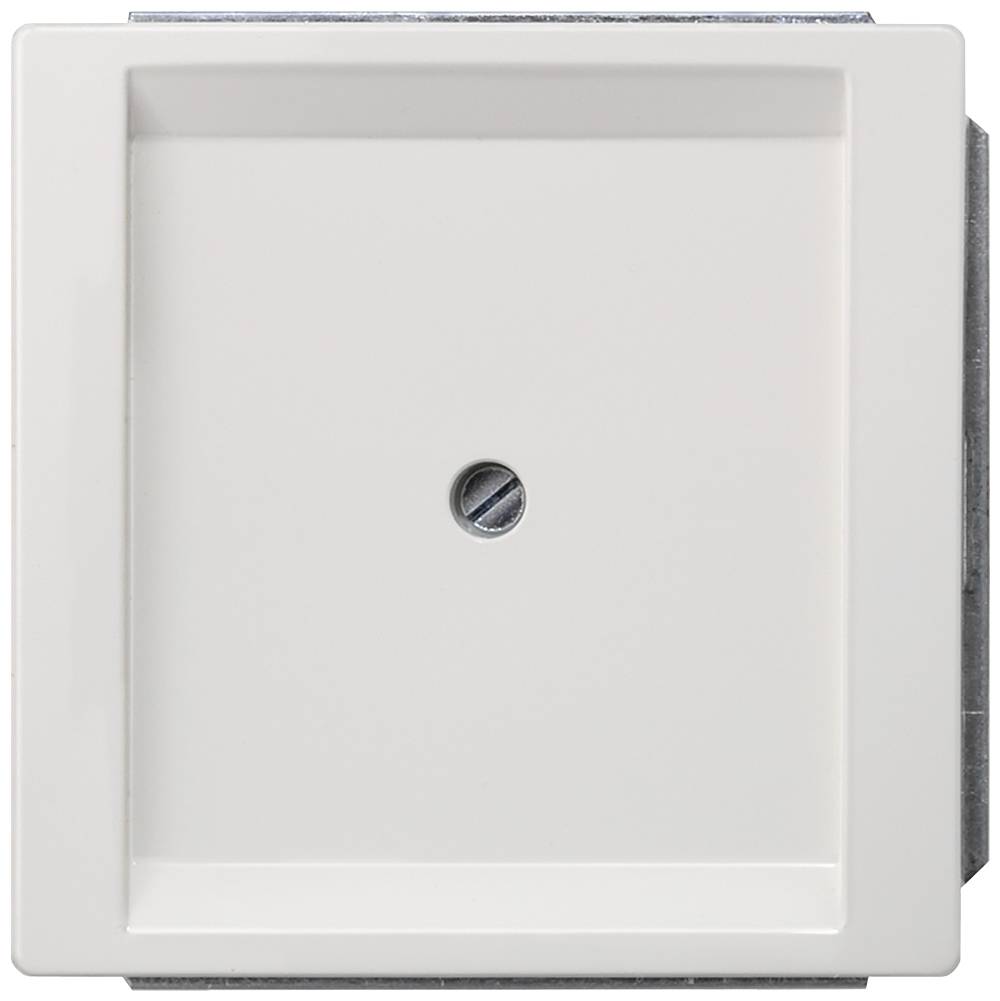 Ein quadratischer, weißer Lichtschalter mit einer zentralen Schraube, montiert auf einer Wand.