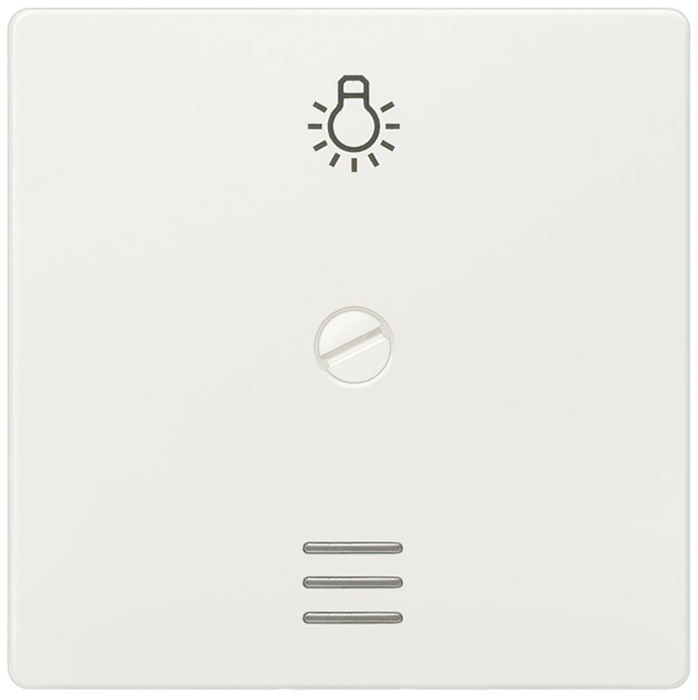 Lichtschalter mit Glühbirnensymbol oben, zeigt an, dass es ein Bedienfeld für das Licht ist.