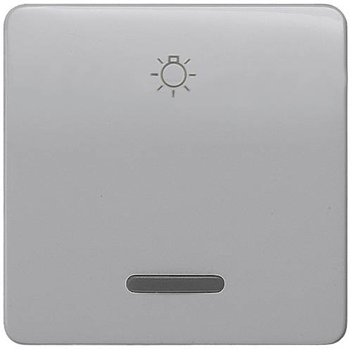 Siemens Schalterprogramm 1fach Silber 5TG7926 1 St.