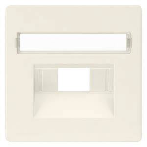Beigefarbene Leerdose mit rechteckiger Aussparung und Platz für ein Etikett. Geeignet zur Aufnahme von Kommunikations- oder Netzwerkschnittstellen.
