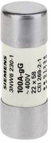 Siemens 3NW62221 Zylindersicherungseinsatz 63 A 500 V 10 St.