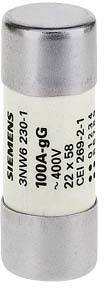 Eine zylindrische Sicherung mit der Aufschrift 'SIEMENS 100A, 400V, CEI 269-2-1'. Sie hat Metallkappen an beiden Enden.