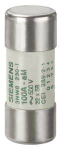 'Siemens'-Sicherung 100A, 500V im zylinderförmigen Gehäuse. Text: 'Siemens', '3NW8', '230-1', 'CEI 269-2-1'.