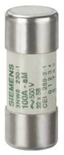 Siemens 3NW82241 Zylindersicherungseinsatz 80 A 500 V 10 St.