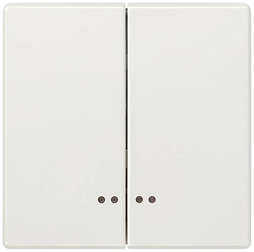 Siemens Schalterprogramm Platin 5TG71581 1 St.