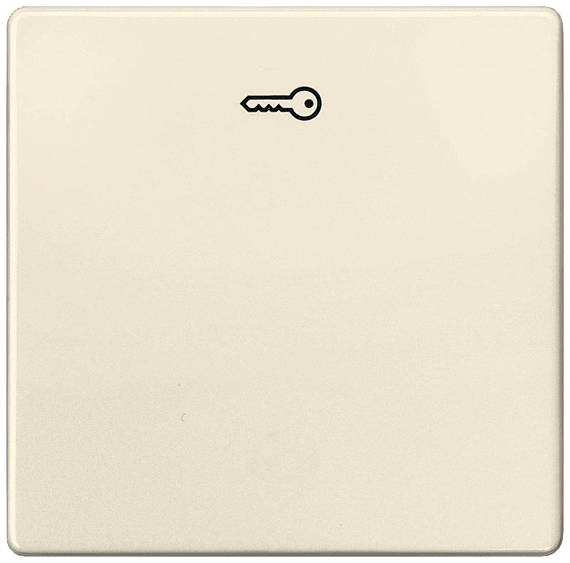 Ein beiger Lichtschalter mit einem kleinen, schwarzen Schlüsselsymbol oben. Der Schalter wirkt schlicht und funktional.