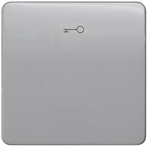 Siemens Schalterprogramm 1fach Silber 5TG7928 1 St.