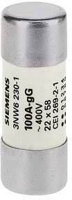 Sicherung mit der Aufschrift 'SIEMENS 3NW6 230-1 100A-gG 400V 22x58 CEI 269-2-1'. Zylinderförmig, metallene Enden.