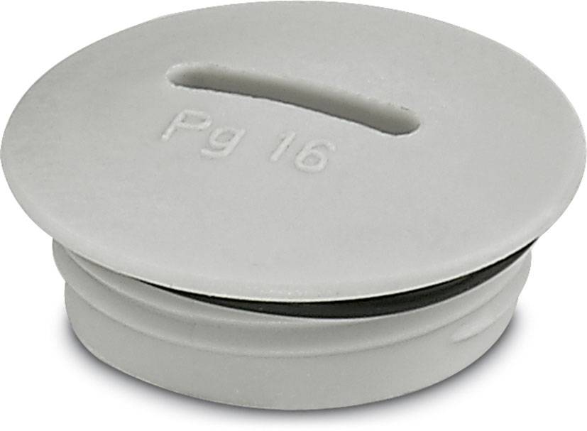 Phoenix Contact 1424524 A-INSP-PG21-65N-P-LG Verschlussschraube PG21 PA 10St.