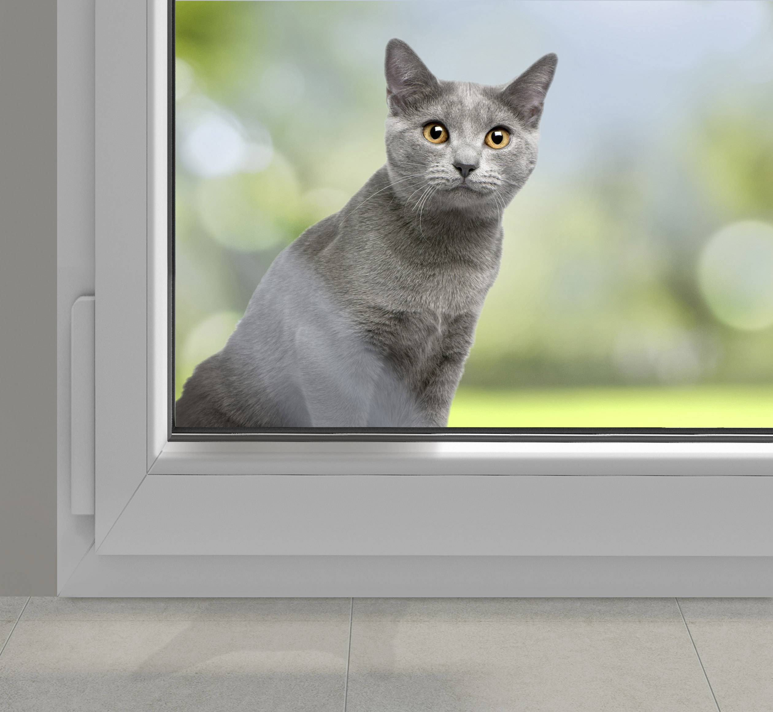 Heidemann Funkgong Komplett-Set für Haustiere, mit Bewegungsmelder 70829 HX Pet