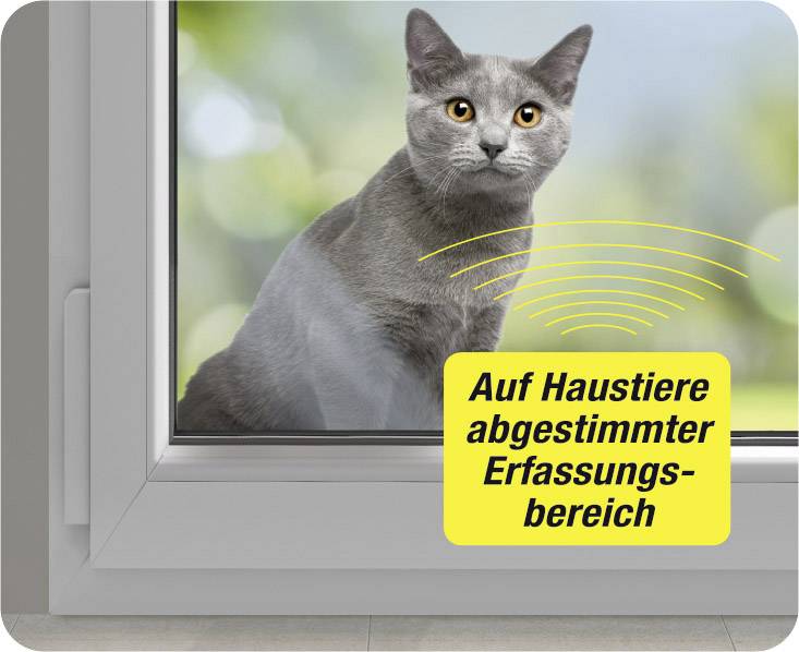 Heidemann Funkgong Komplett-Set für Haustiere, mit Bewegungsmelder 70829 HX Pet