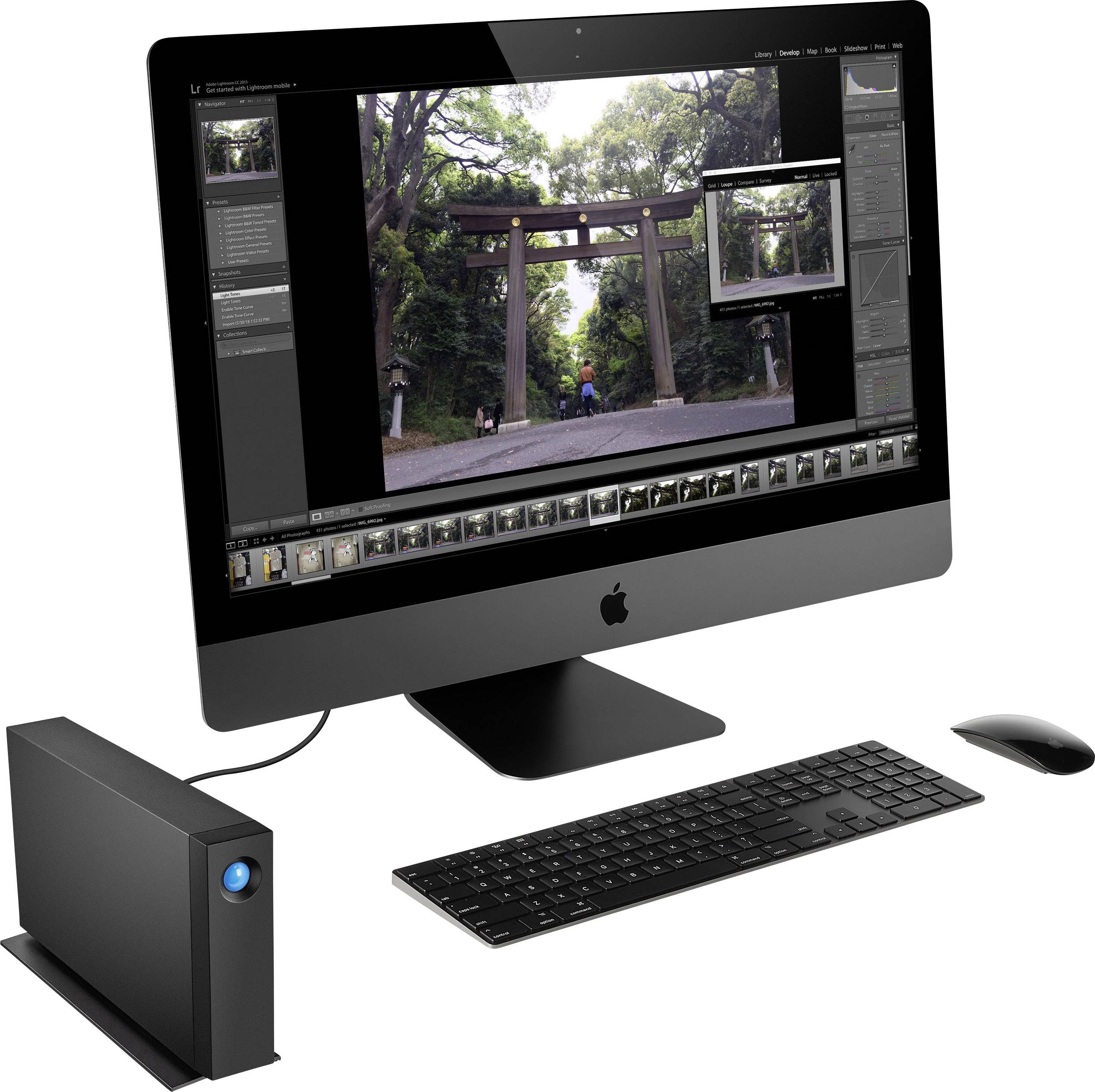 LaCie d2 Professional 10 TB Externe Festplatte 8.9 cm (3.5 Zoll) USB-C® (USB 3.2 Gen 2) Schwarz STHA10000800